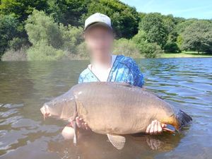 Mirror Carp