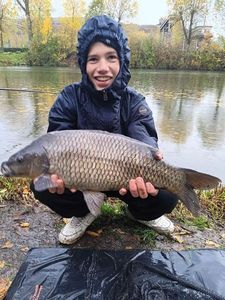 Common Carp