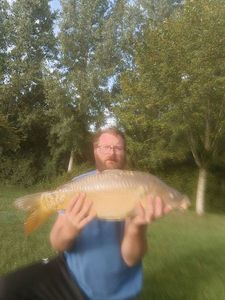 Mirror Carp