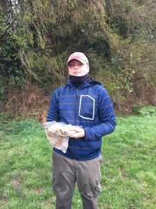Rainbow Trout