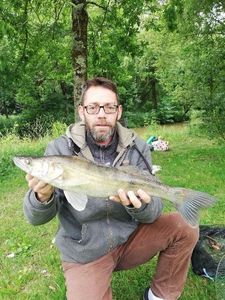 Zander