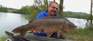 Common Carp