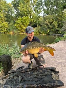 Mirror Carp