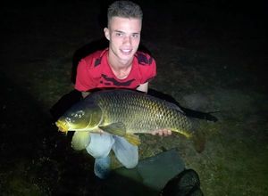 Common Carp