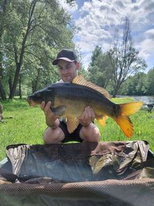 Mirror Carp