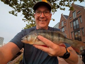 European Perch