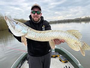 Northern Pike