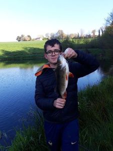 European Perch
