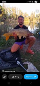 Common Carp