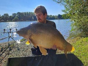 Mirror Carp