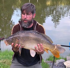 Mirror Carp