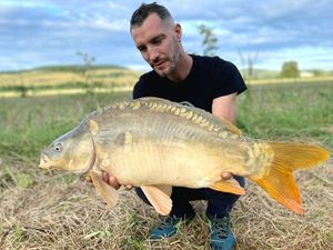 Mirror Carp