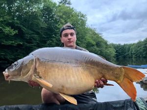 Mirror Carp