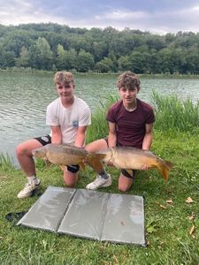 Mirror Carp