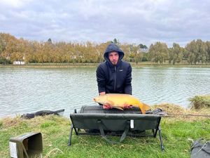 Mirror Carp