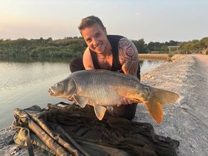 Mirror Carp