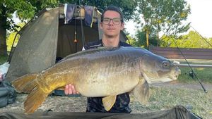 Mirror Carp