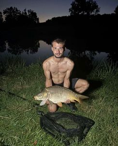 Common Carp