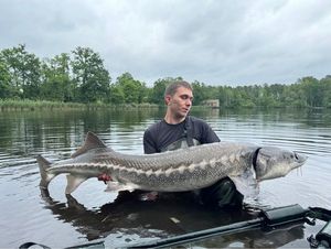 Sturgeon