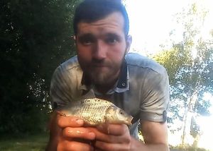 Common Carp