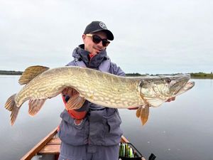 Northern Pike