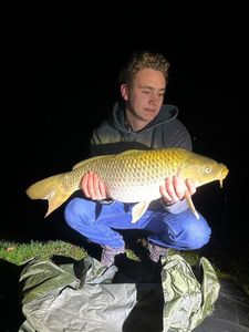 Common Carp