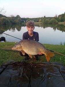 Common Carp