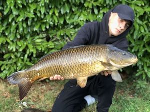 Common Carp