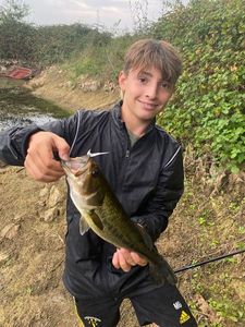Smallmouth Bass