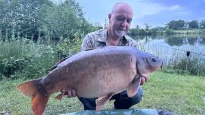 Mirror Carp