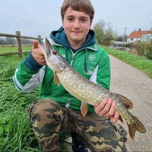 Northern Pike