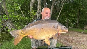 Mirror Carp