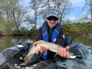 Northern Pike