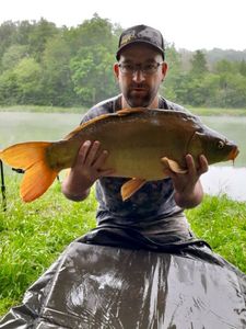 Leather Carp