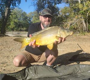 Mirror Carp