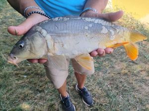 Leather Carp