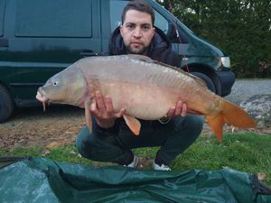 Mirror Carp