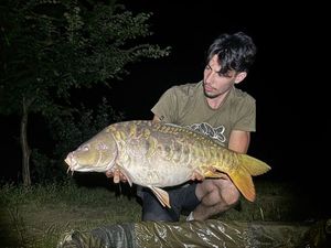 Mirror Carp