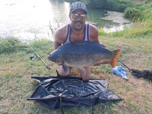 Mirror Carp