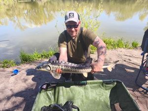 Sturgeon