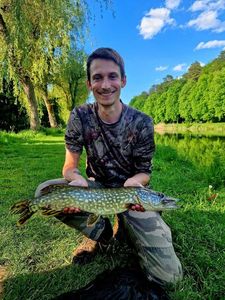 Northern Pike