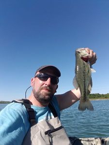 Smallmouth Bass