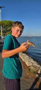 Surmullet