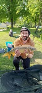 Mirror Carp