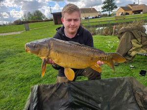 Mirror Carp