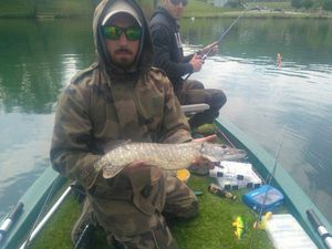 Northern Pike