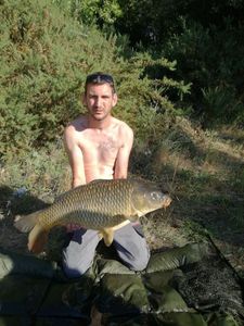 Common Carp