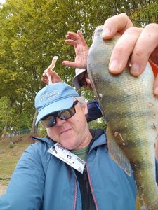 European Perch