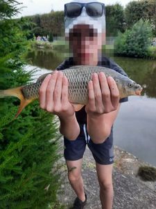 Common Carp