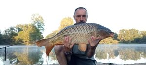 Common Carp
